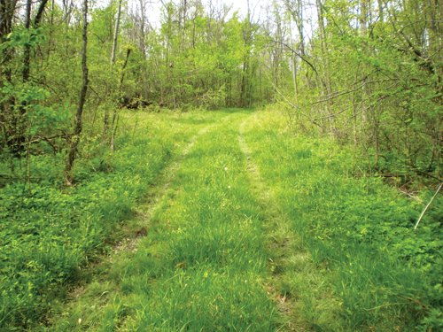 Property photo 8 - 160 Acres in 4 Tracts - Building Potential and Cropland